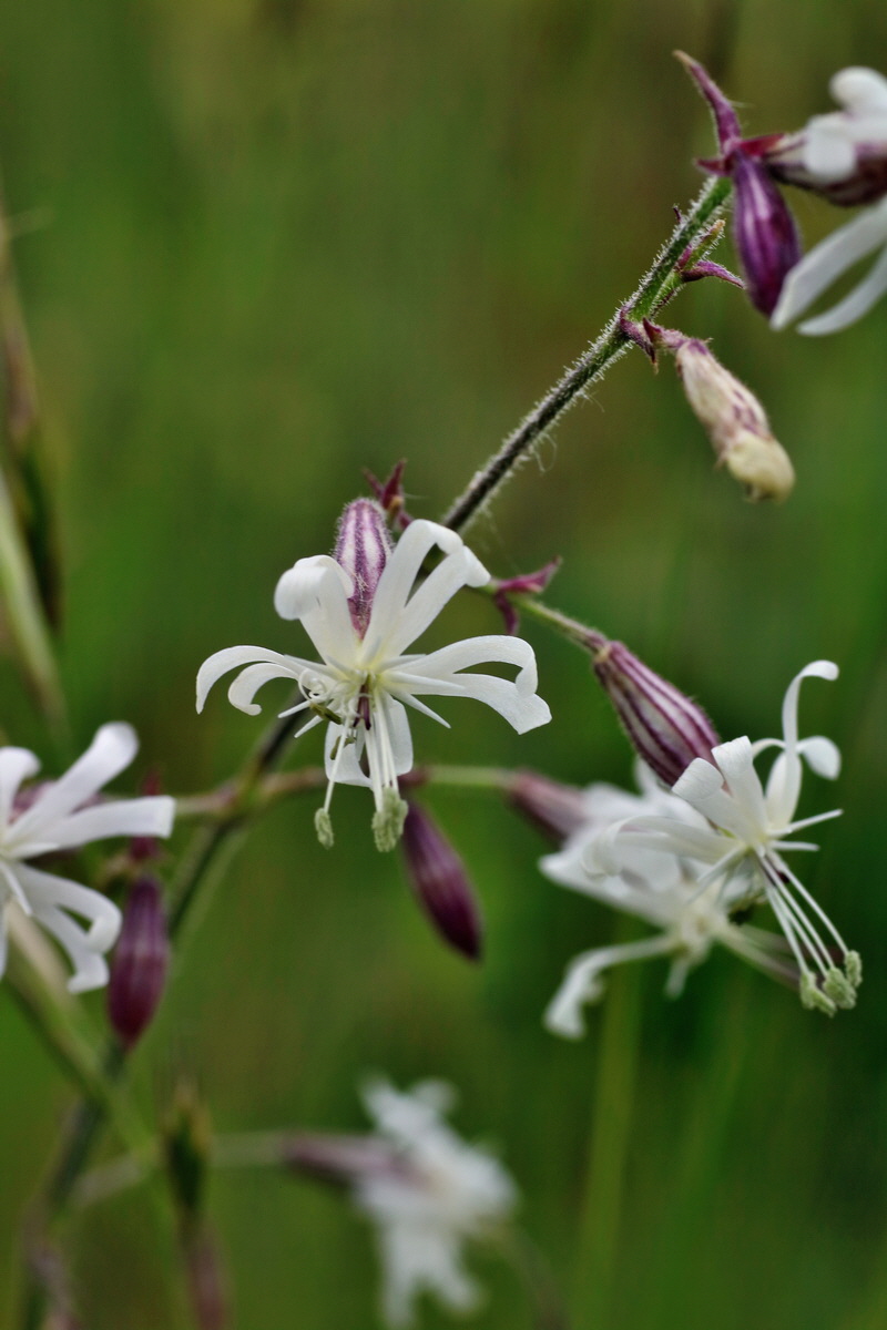 IMG-2016-05-25-00016294p_Bildgr��e �ndern