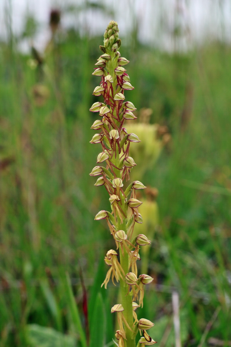 IMG-2016-05-25-00016298p_Bildgr��e �ndern