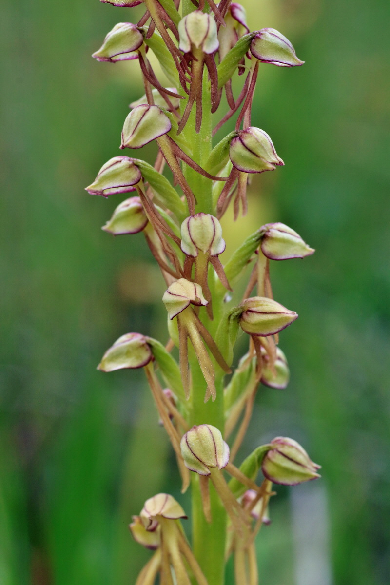 IMG-2016-05-25-00016301p_Bildgr��e �ndern