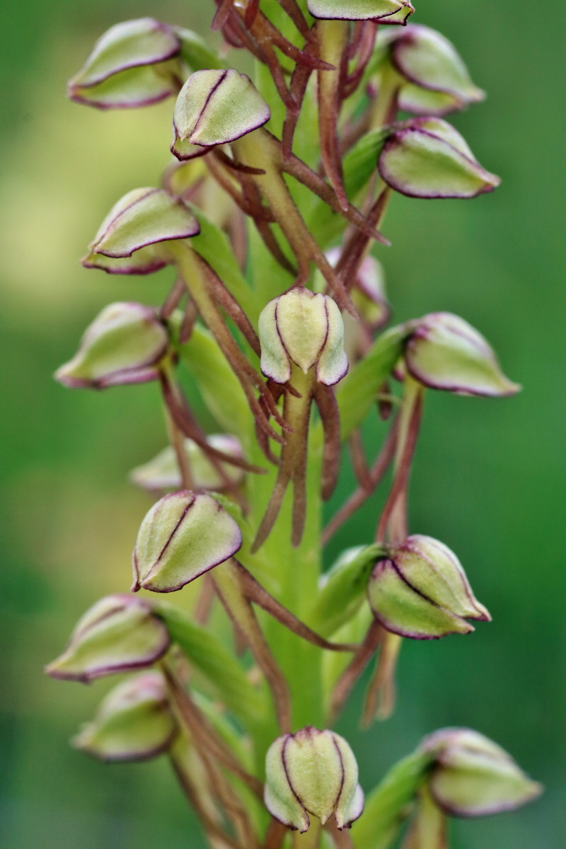 IMG-2016-05-25-00016304p_Bildgr��e �ndern