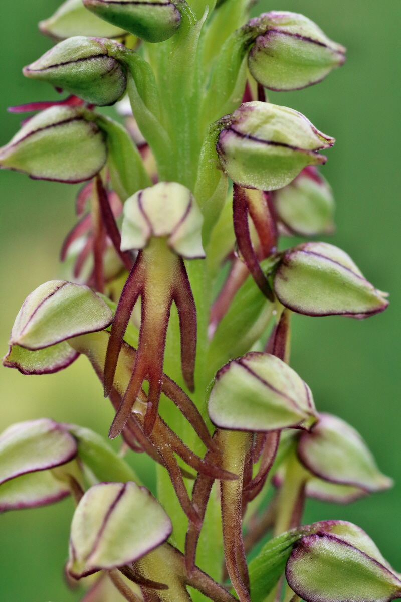 IMG-2016-05-25-00016313p_Bildgr��e �ndern