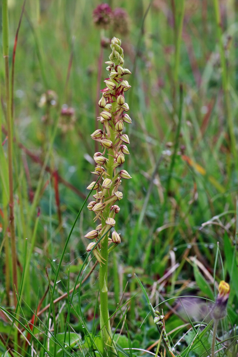 IMG-2016-05-25-00016366p_Bildgr��e �ndern