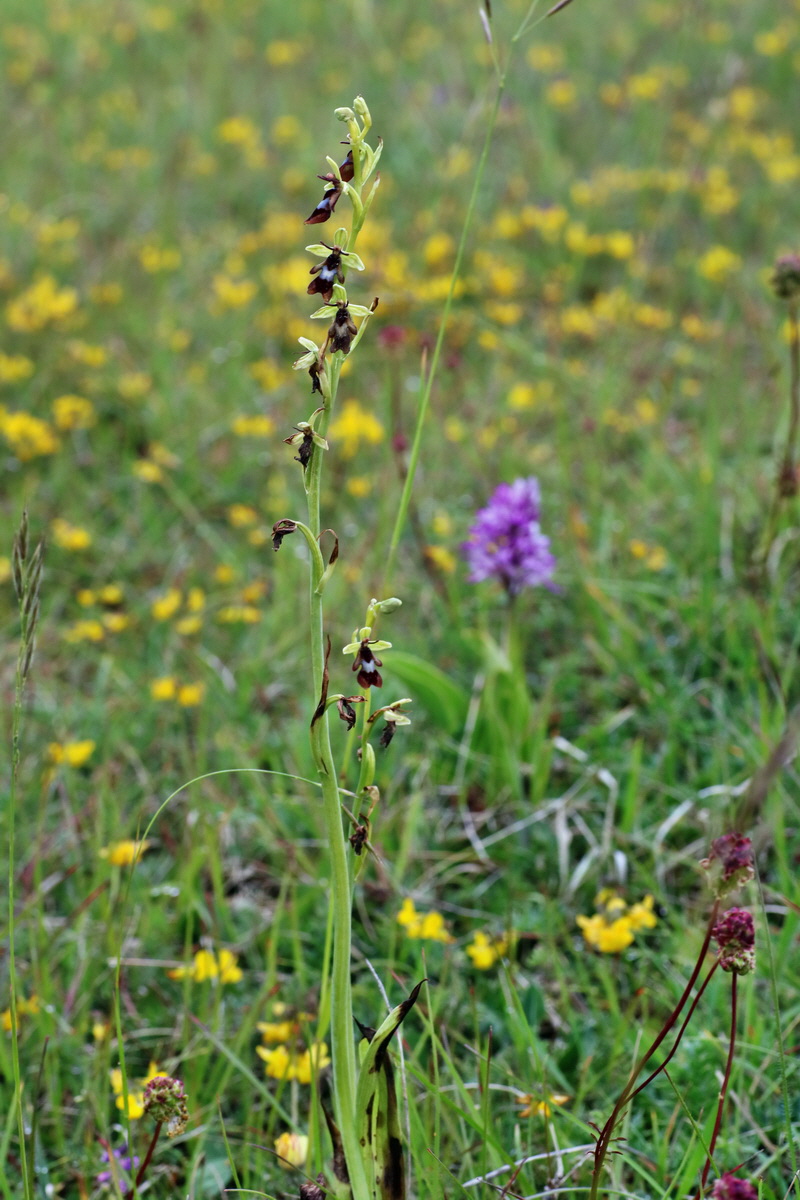 IMG-2016-05-25-00016376p_Bildgr��e �ndern