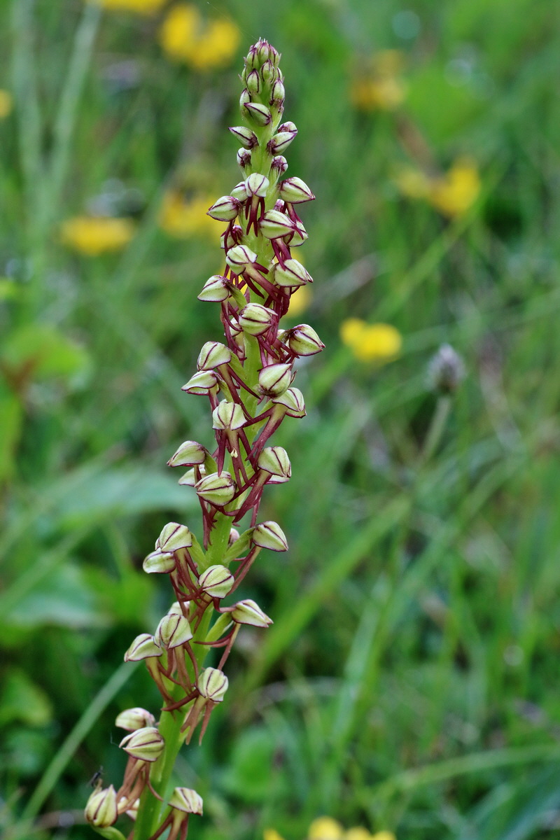 IMG-2016-05-25-00016383p_Bildgr��e �ndern