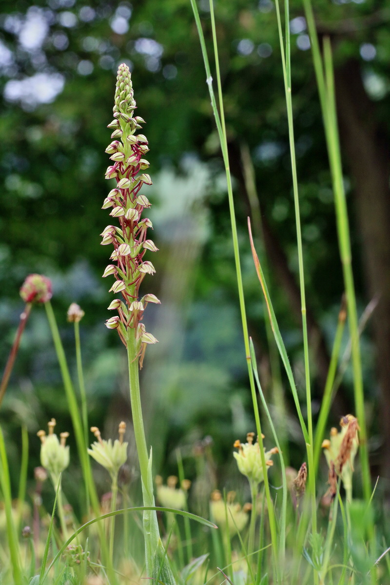 IMG-2016-05-25-00016400p_Bildgr��e �ndern