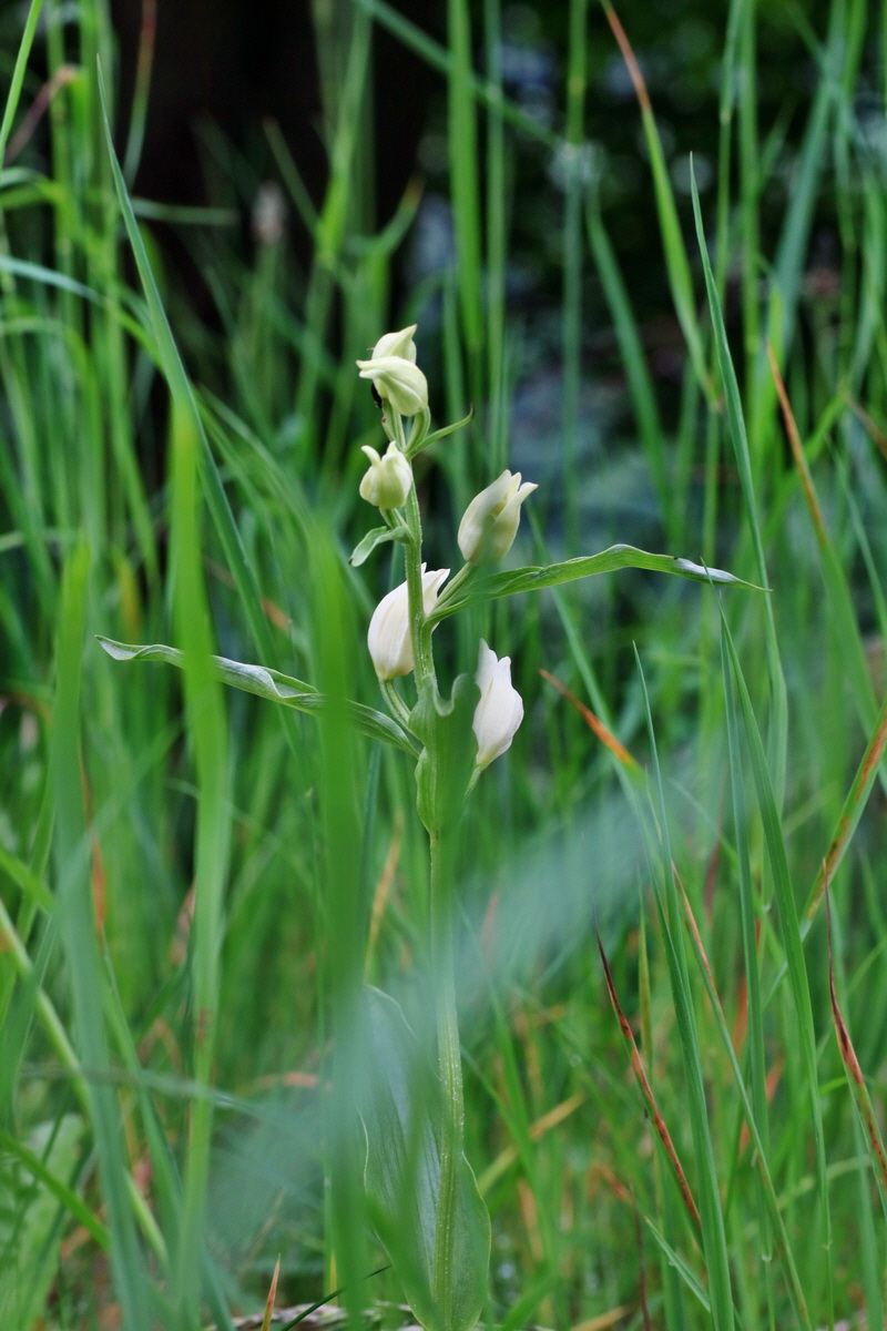 IMG-2016-05-25-00016403p_Bildgr��e �ndern