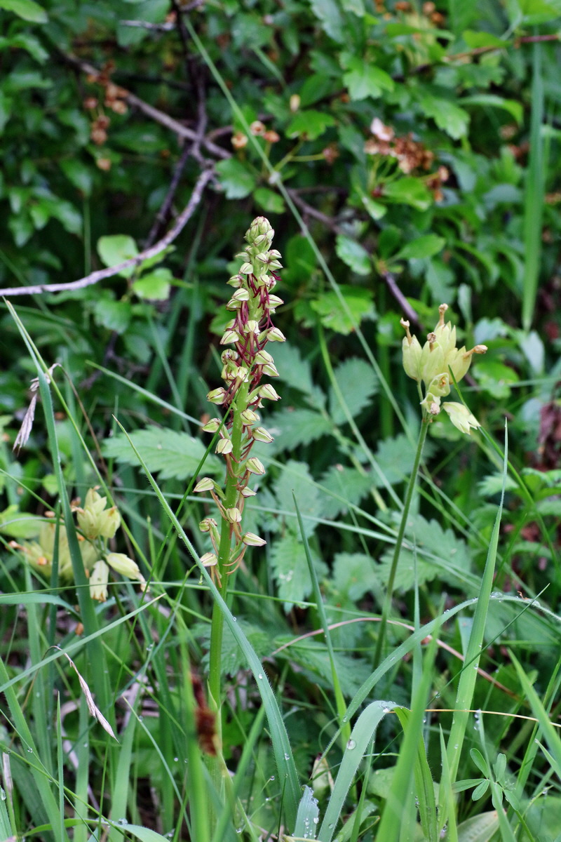 IMG-2016-05-25-00016418p_Bildgr��e �ndern