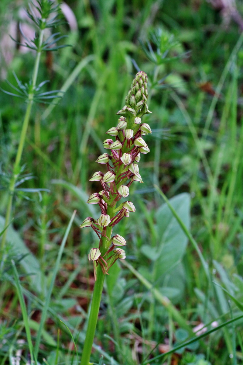 IMG-2016-05-25-00016421p_Bildgr��e �ndern