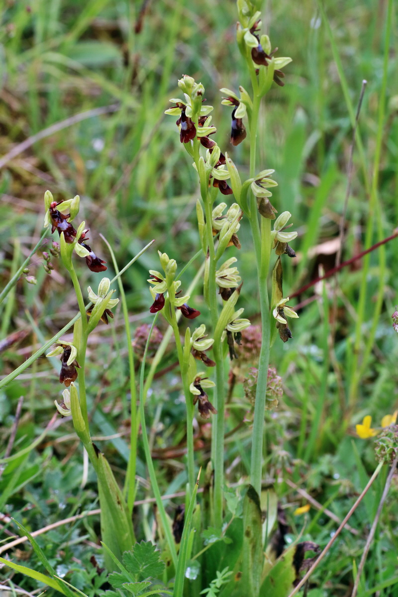 IMG-2016-05-25-00016479p_Bildgr��e �ndern