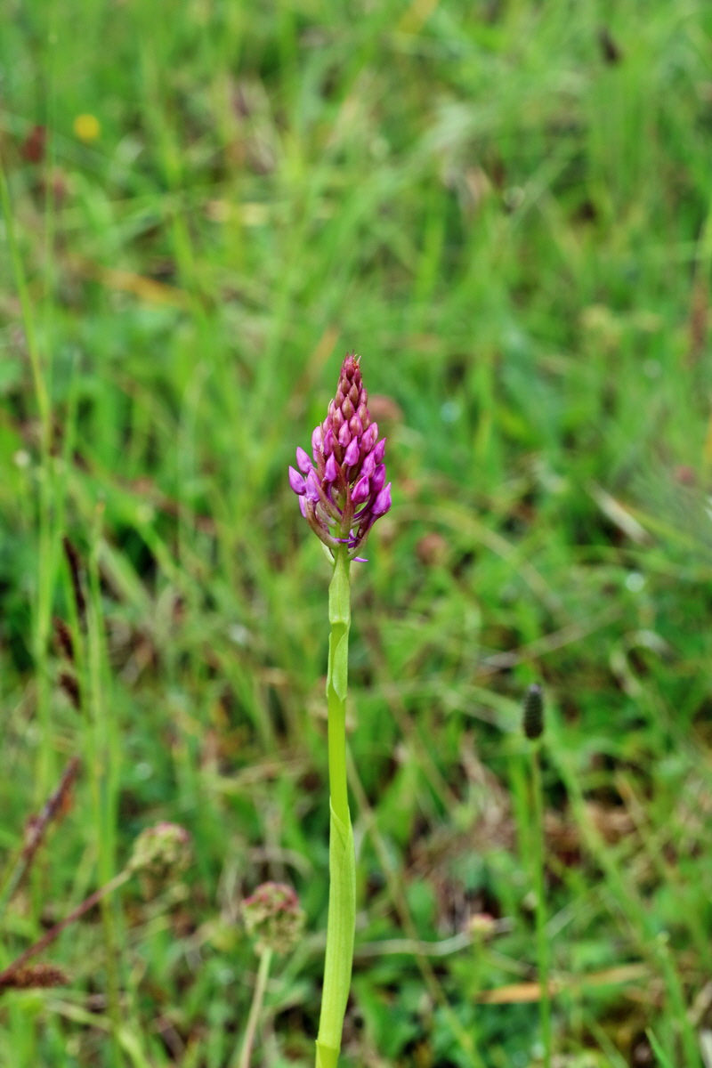 IMG-2016-05-25-00016484p_Bildgr��e �ndern