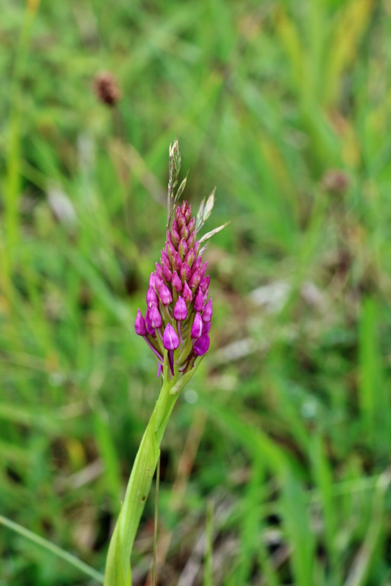 IMG-2016-05-25-00016487p_Bildgr��e �ndern