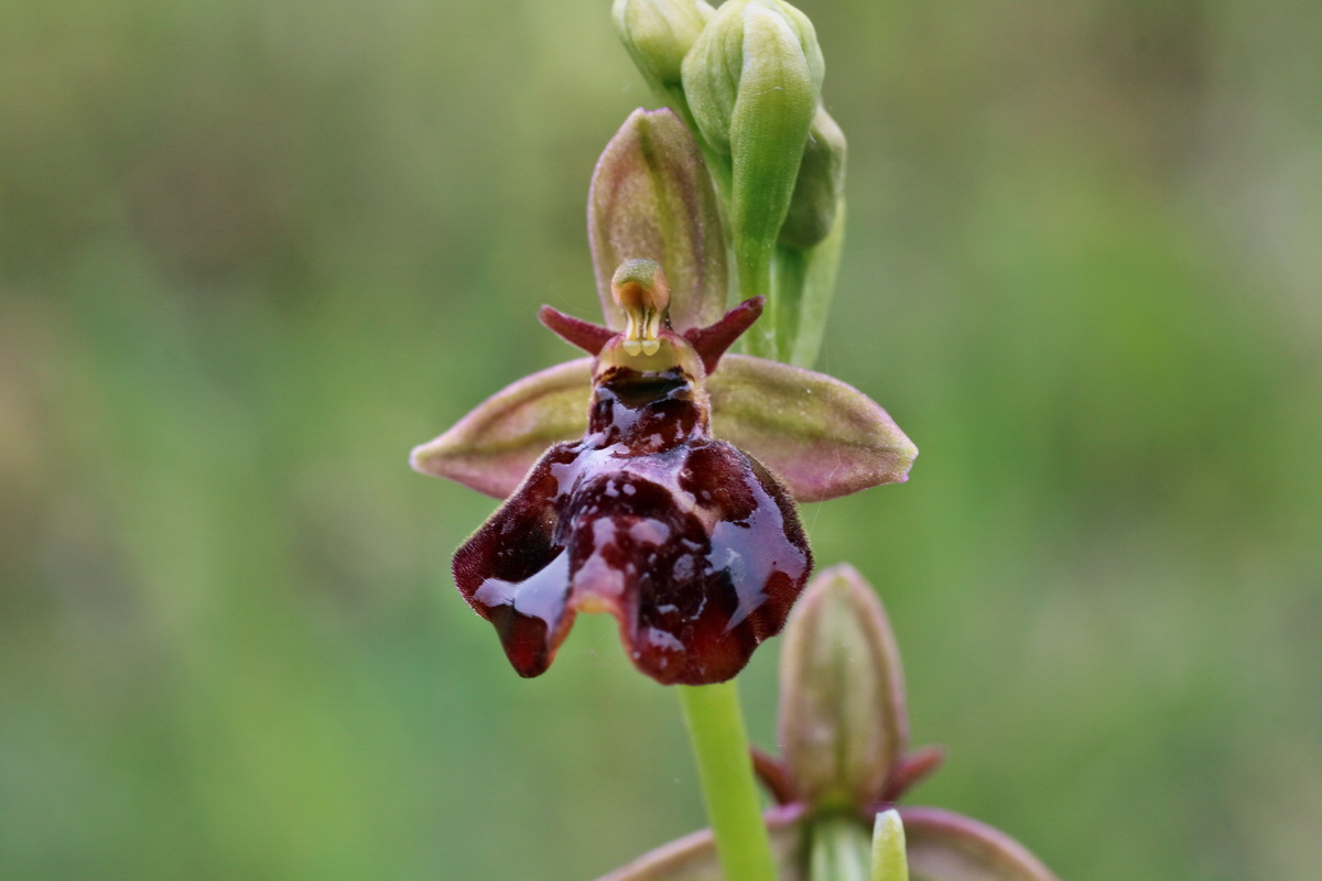 IMG-2016-05-25-00016503p_Bildgr��e �ndern