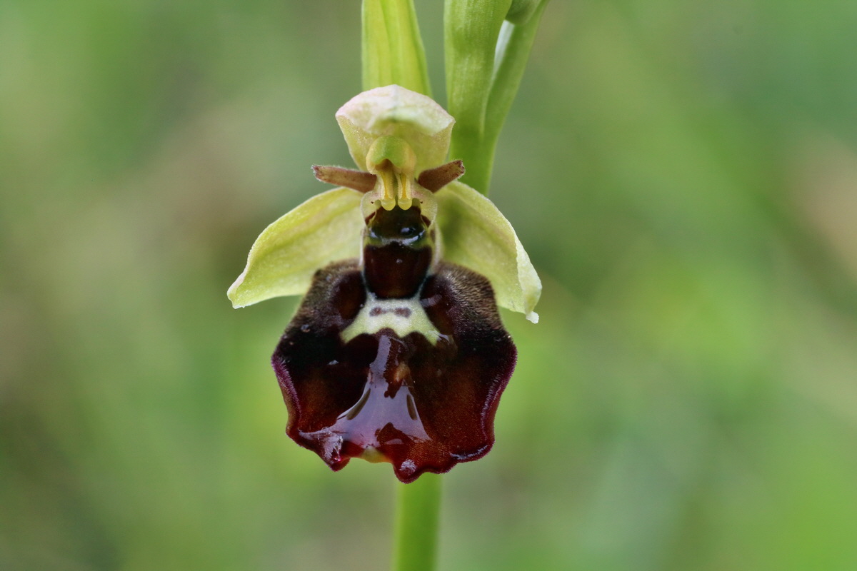 IMG-2016-05-25-00016506p_Bildgr��e �ndern