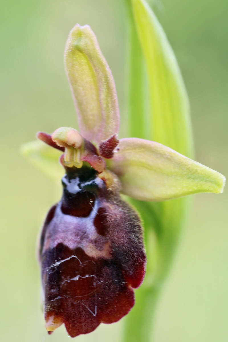 IMG-2016-05-25-00016514p_Bildgr��e �ndern