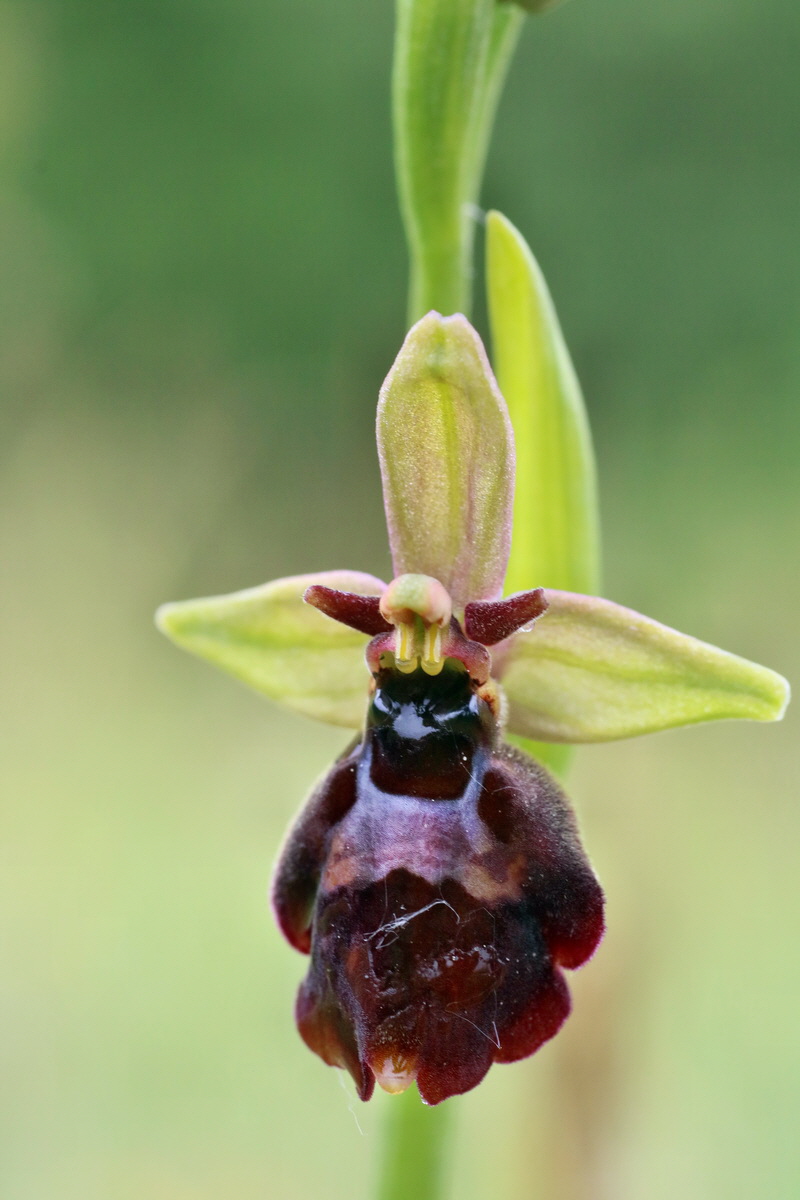 IMG-2016-05-25-00016516p_Bildgr��e �ndern