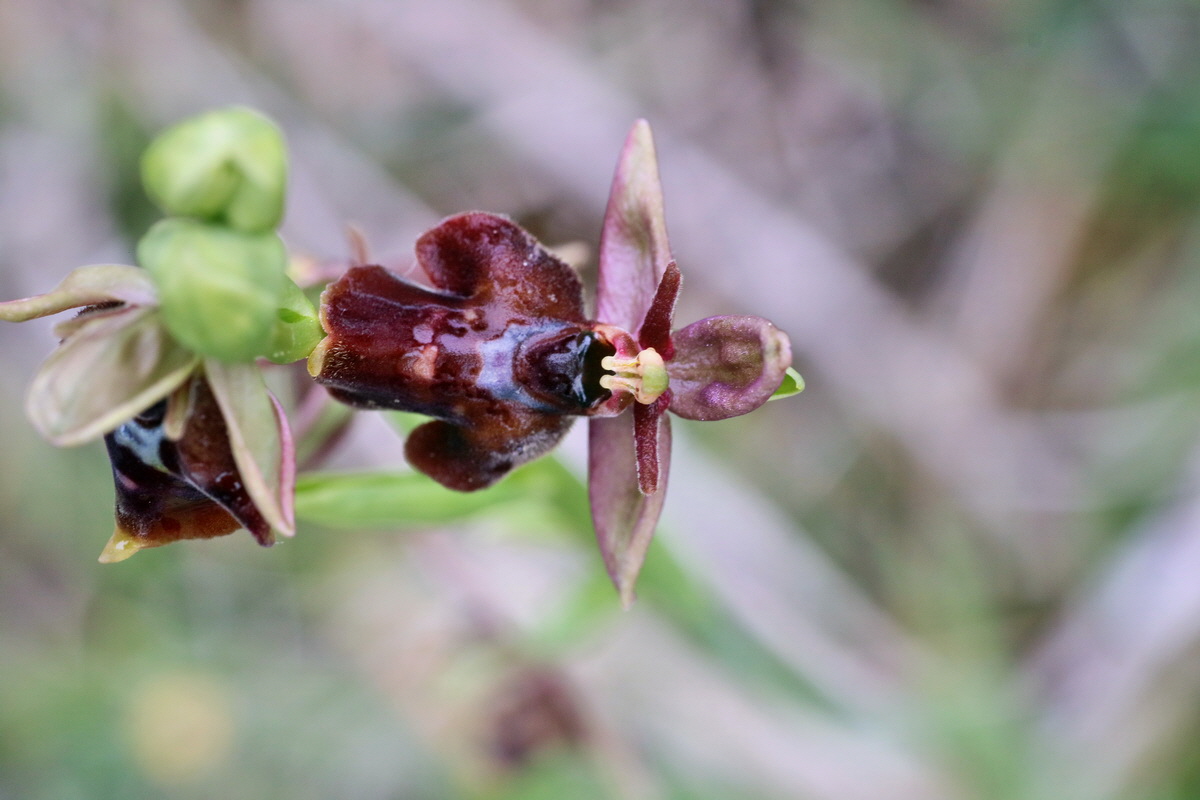 IMG-2016-05-25-00016522p_Bildgr��e �ndern