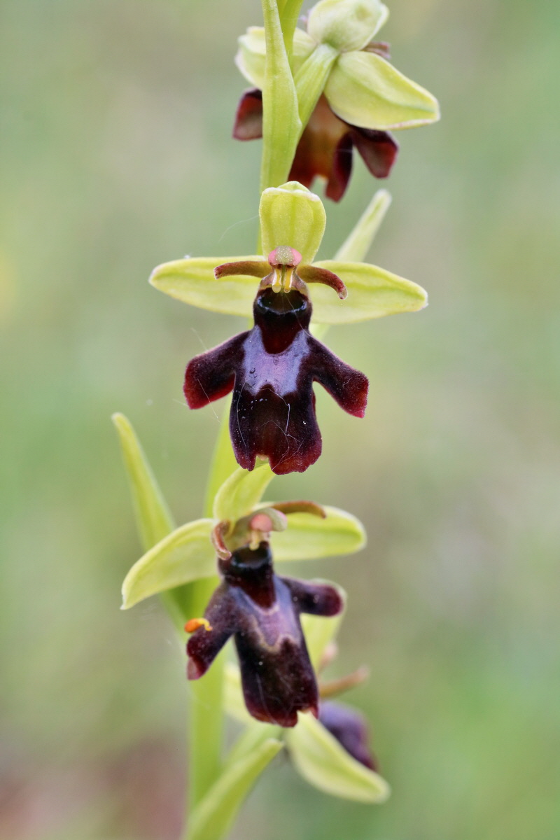 IMG-2016-05-25-00016536p_Bildgr��e �ndern