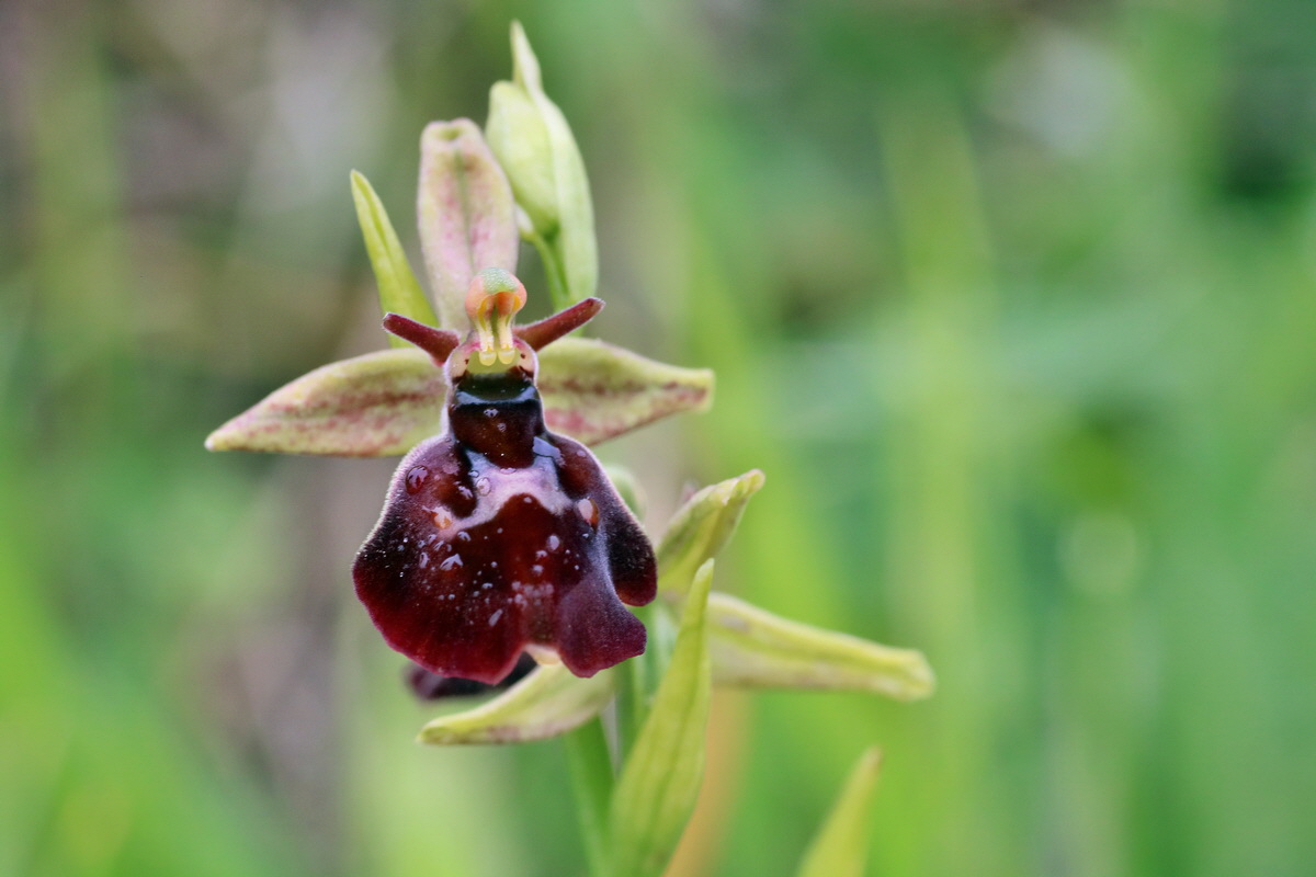 IMG-2016-05-25-00016540p_Bildgr��e �ndern