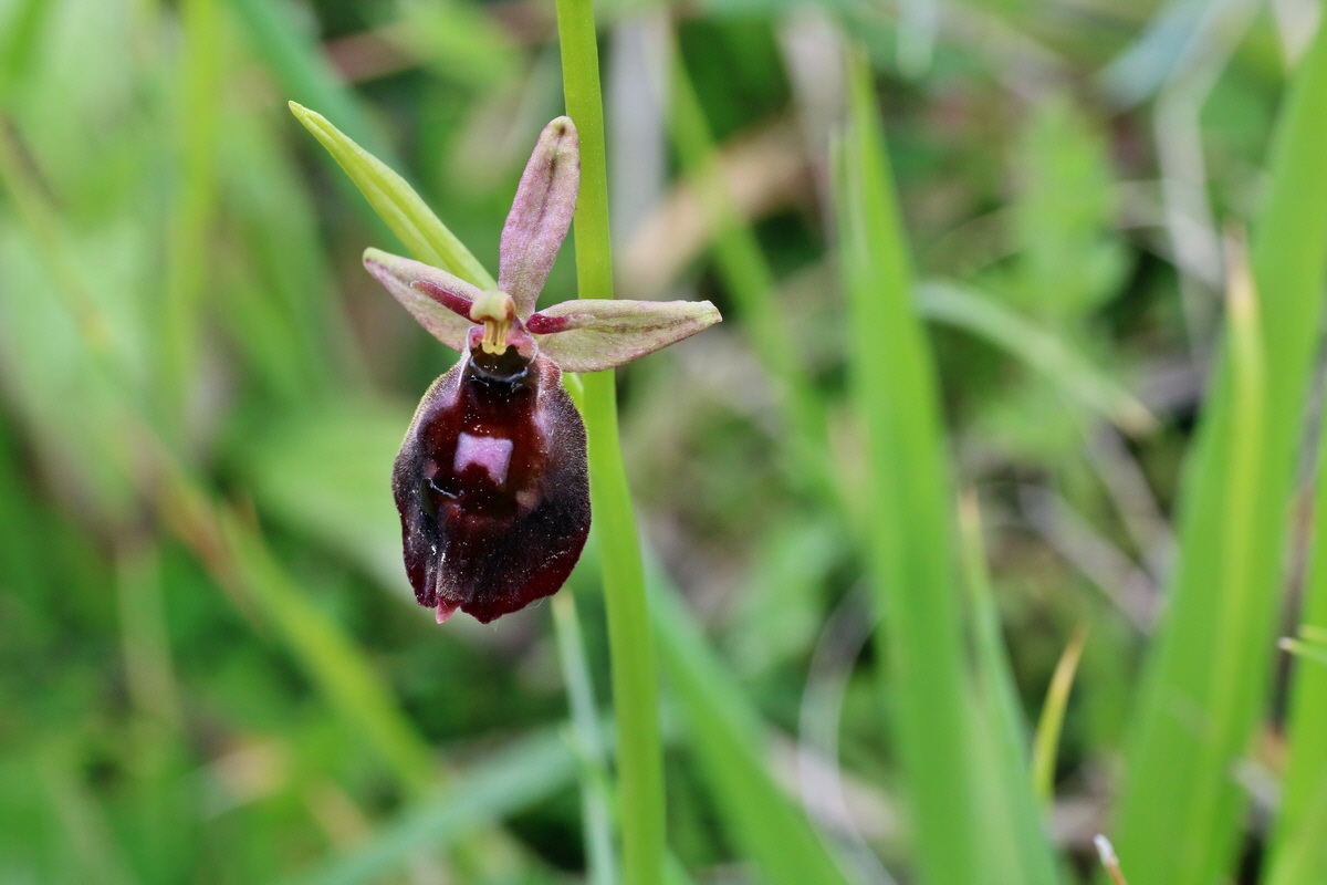 IMG-2016-05-25-00016552p_Bildgr��e �ndern