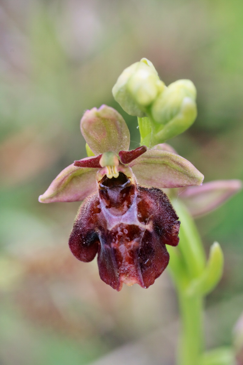 IMG-2016-05-25-00016569p_Bildgr��e �ndern