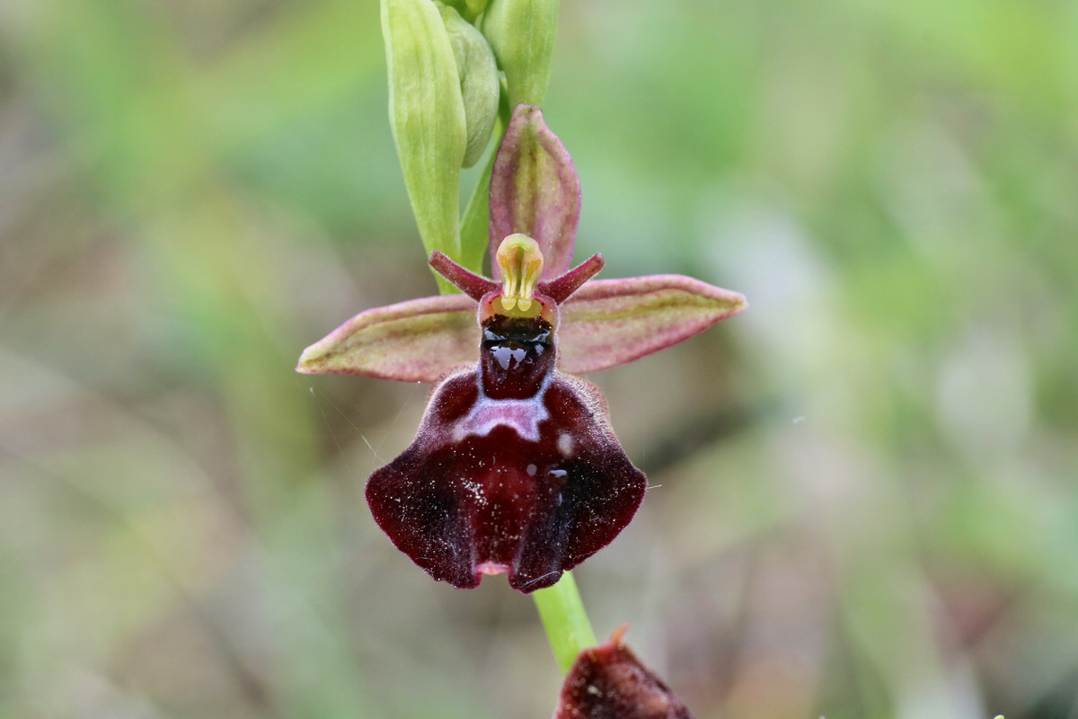 IMG-2016-05-25-00016577p_Bildgr��e �ndern