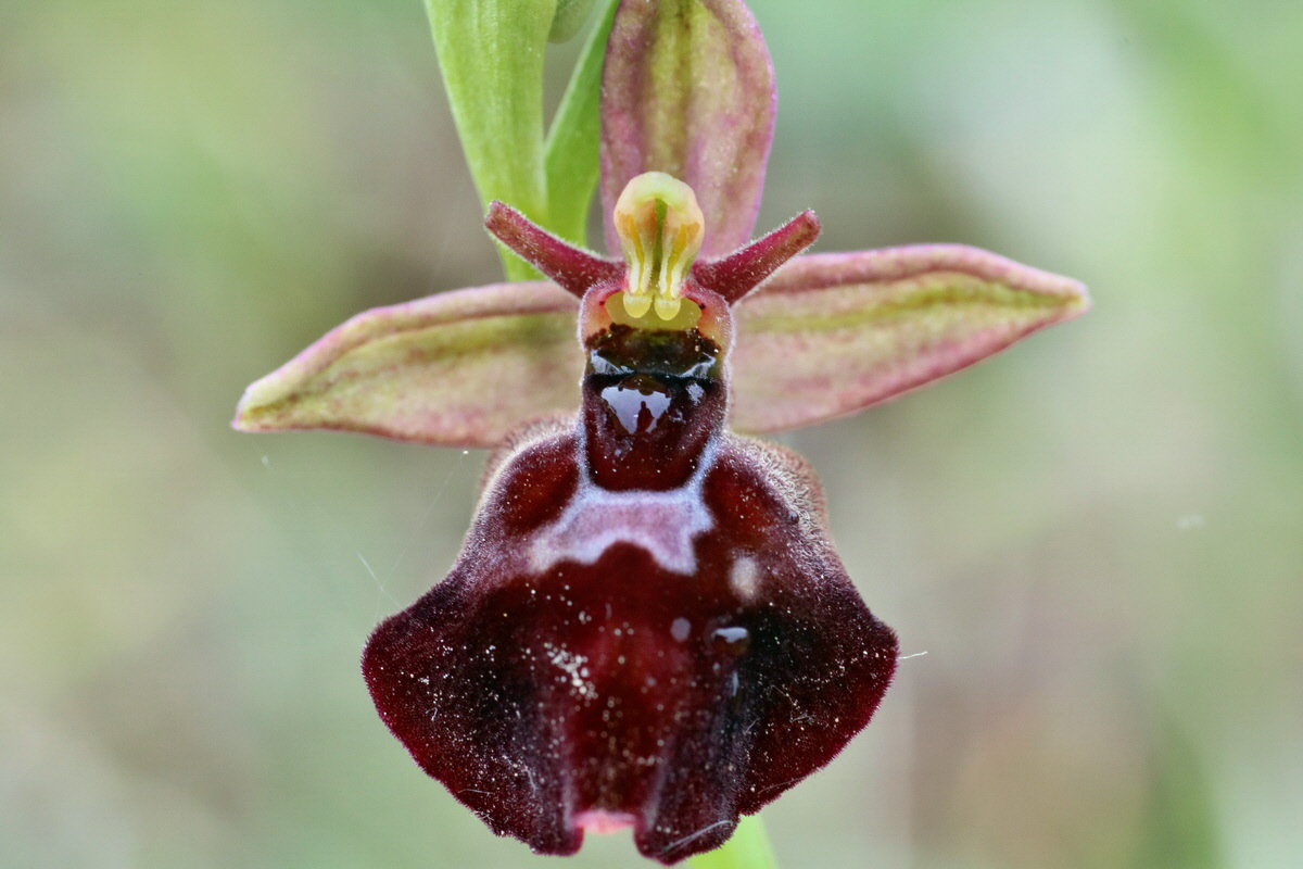 IMG-2016-05-25-00016583p_Bildgr��e �ndern