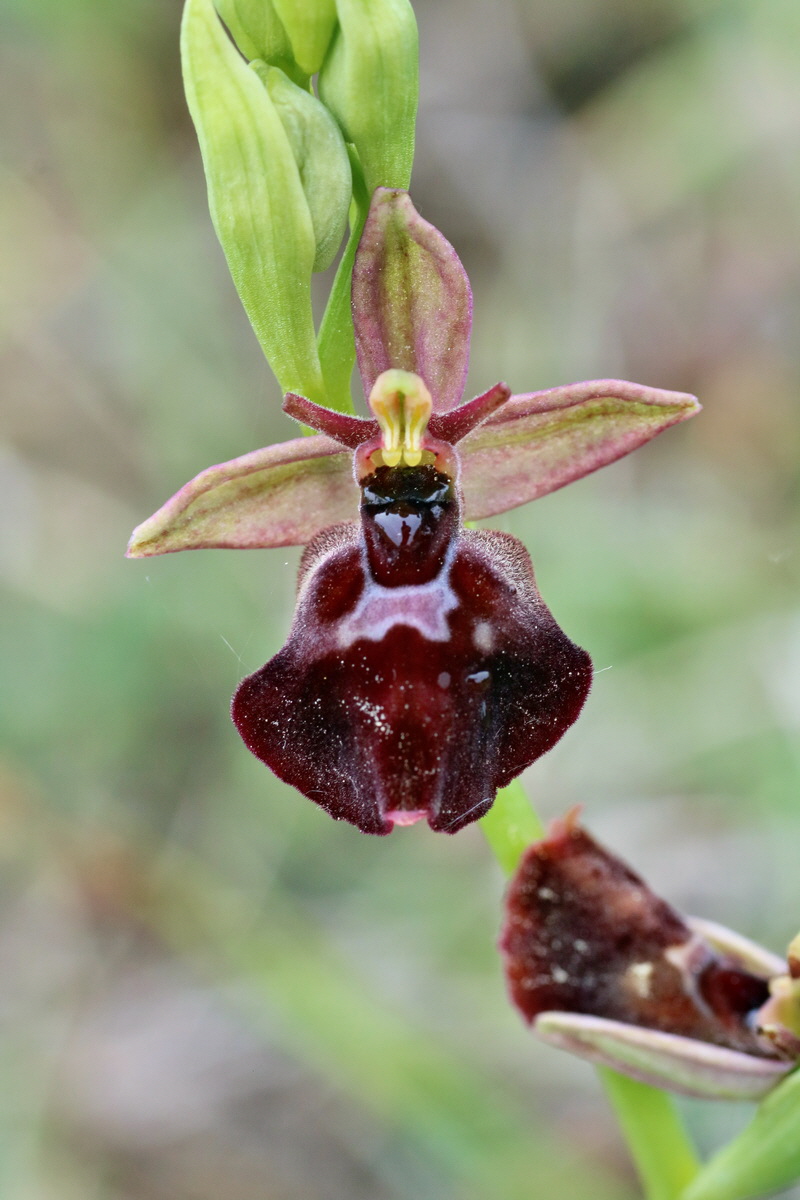 IMG-2016-05-25-00016603p_Bildgr��e �ndern