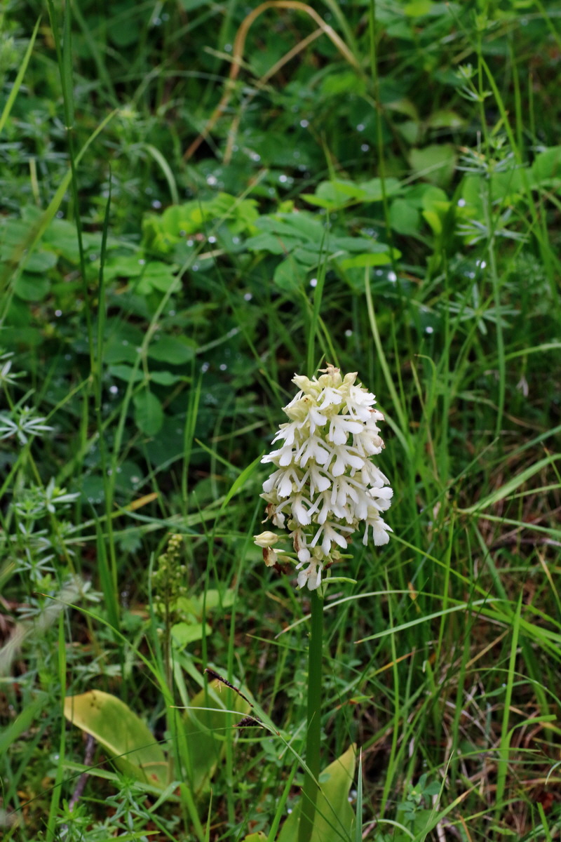 IMG-2016-05-25-00016613p_Bildgr��e �ndern