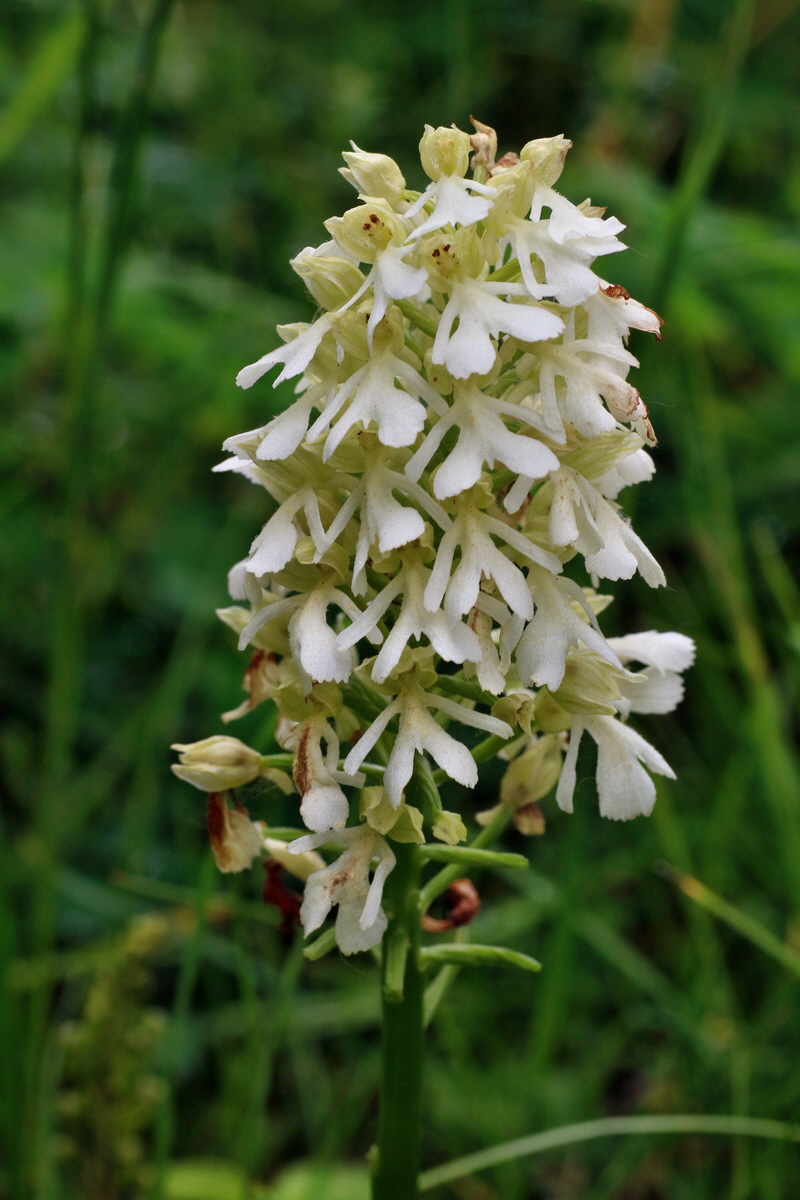 IMG-2016-05-25-00016618p_Bildgr��e �ndern