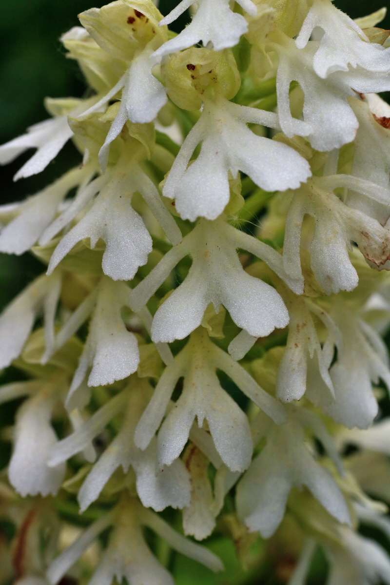 IMG-2016-05-25-00016625p_Bildgr��e �ndern