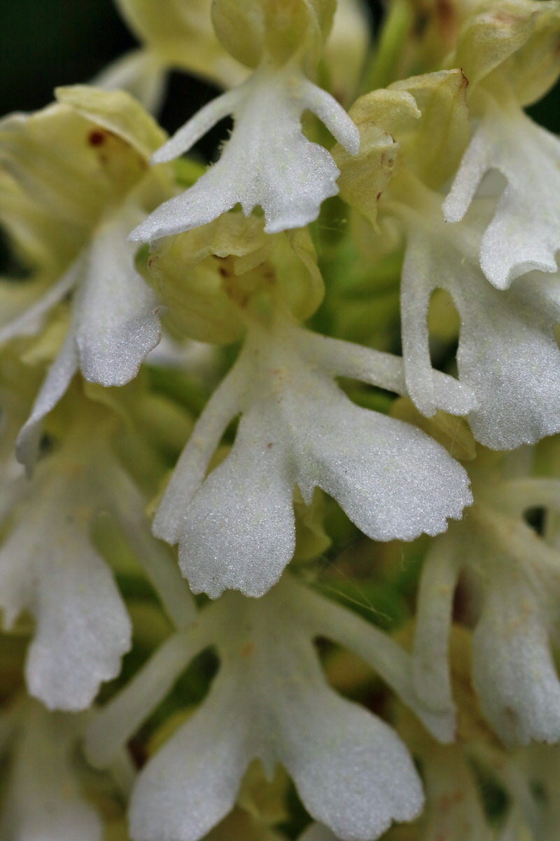 IMG-2016-05-25-00016626p_Bildgr��e �ndern