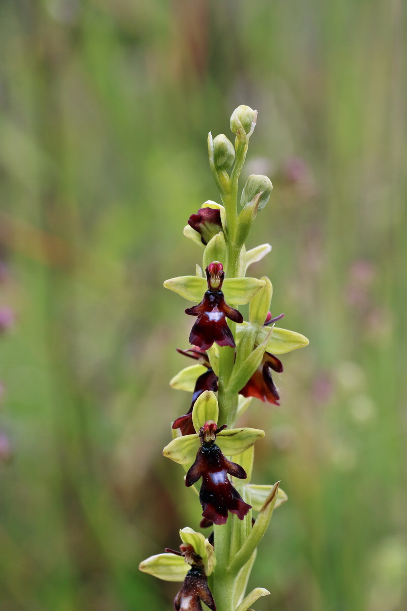 IMG-2016-05-25-00016652p_Bildgr��e �ndern