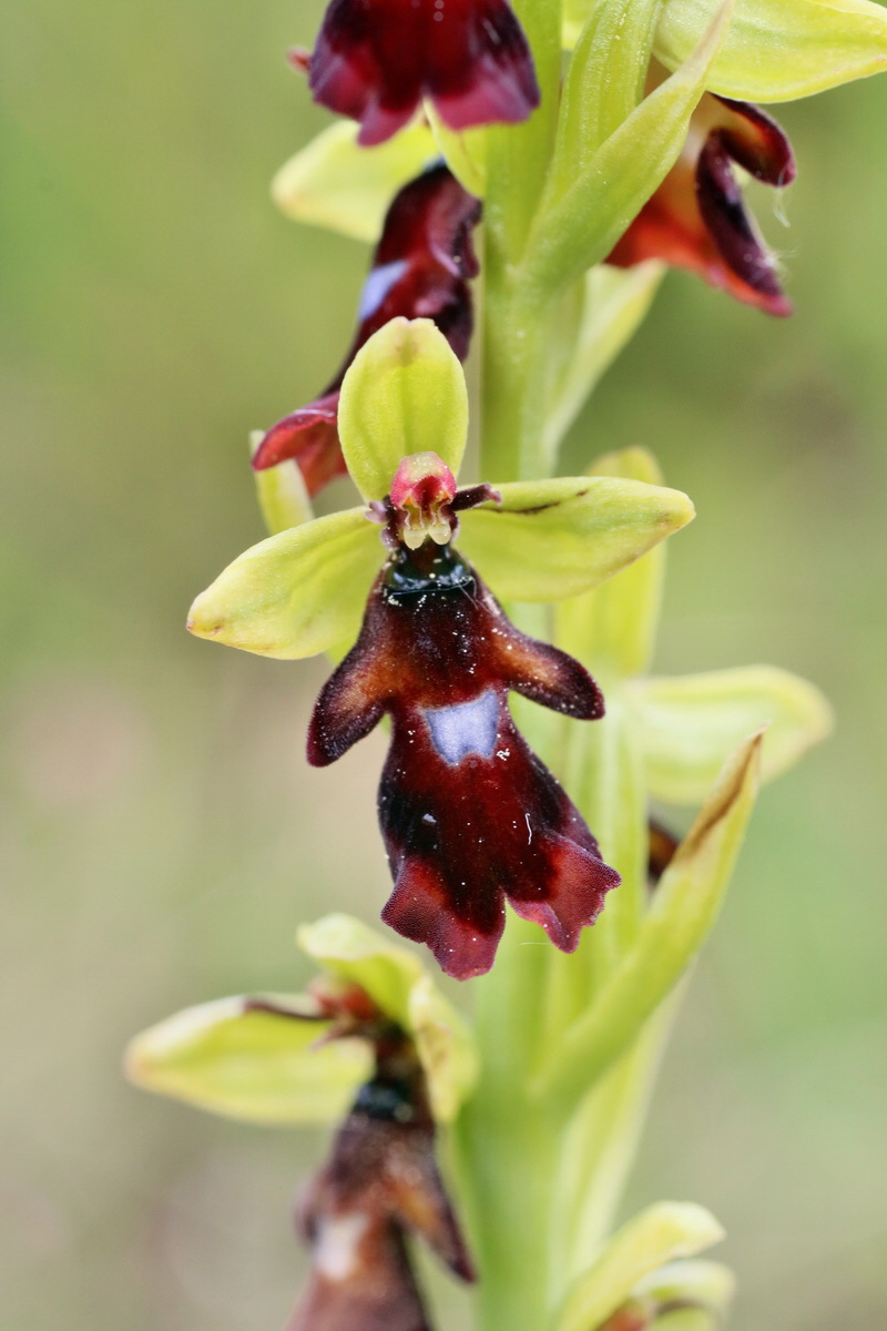 IMG-2016-05-25-00016661p_Bildgr��e �ndern