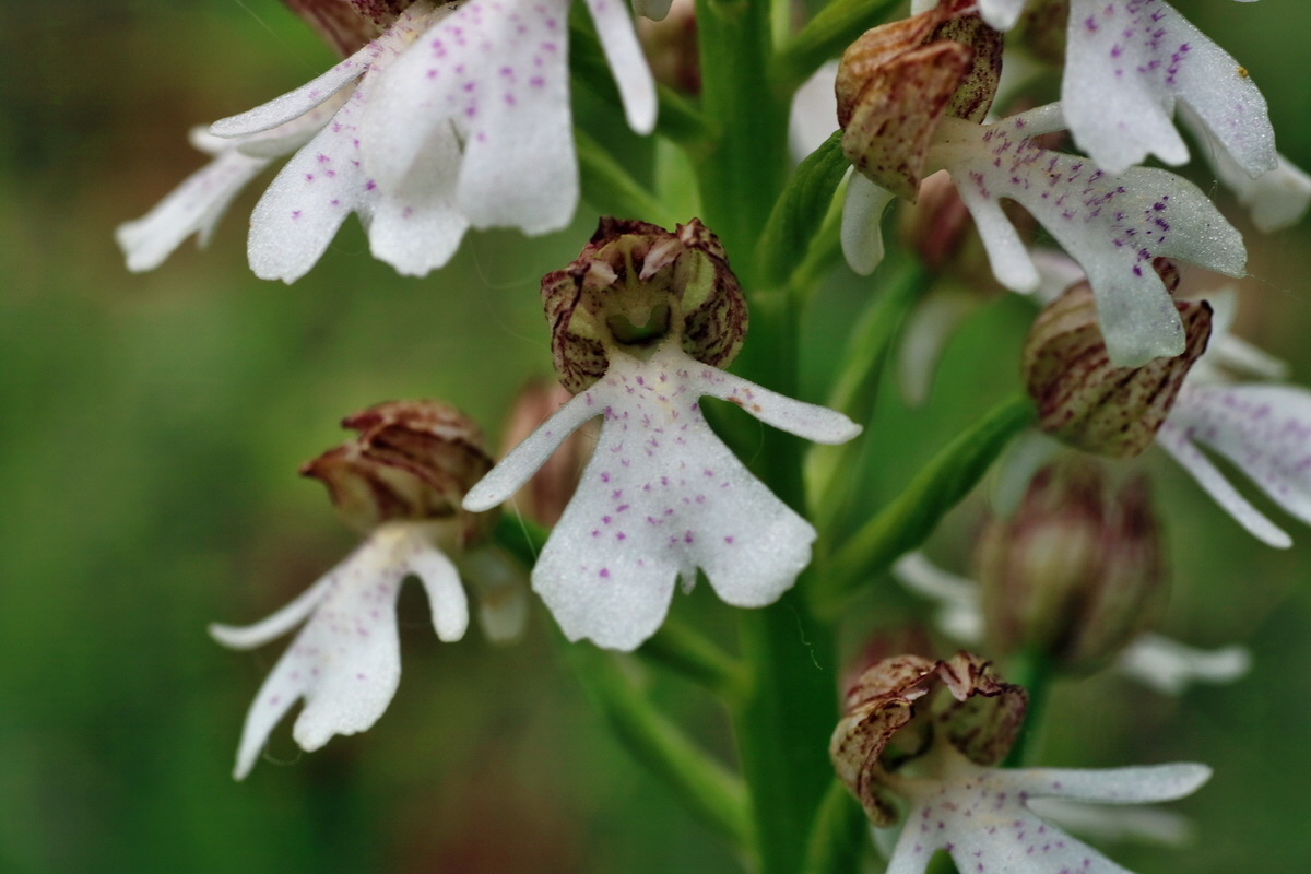 IMG-2016-05-25-00016672p_Bildgr��e �ndern