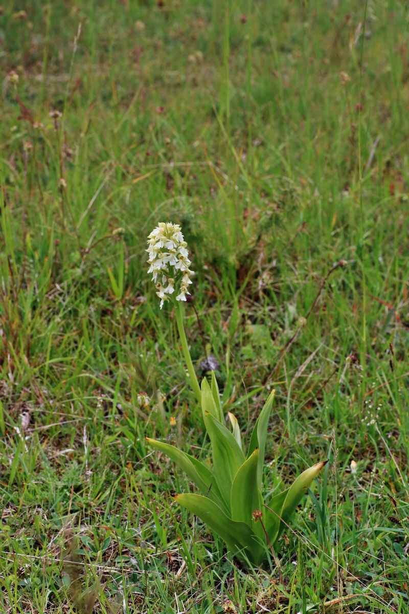 IMG-2016-05-25-00016683p_Bildgr��e �ndern