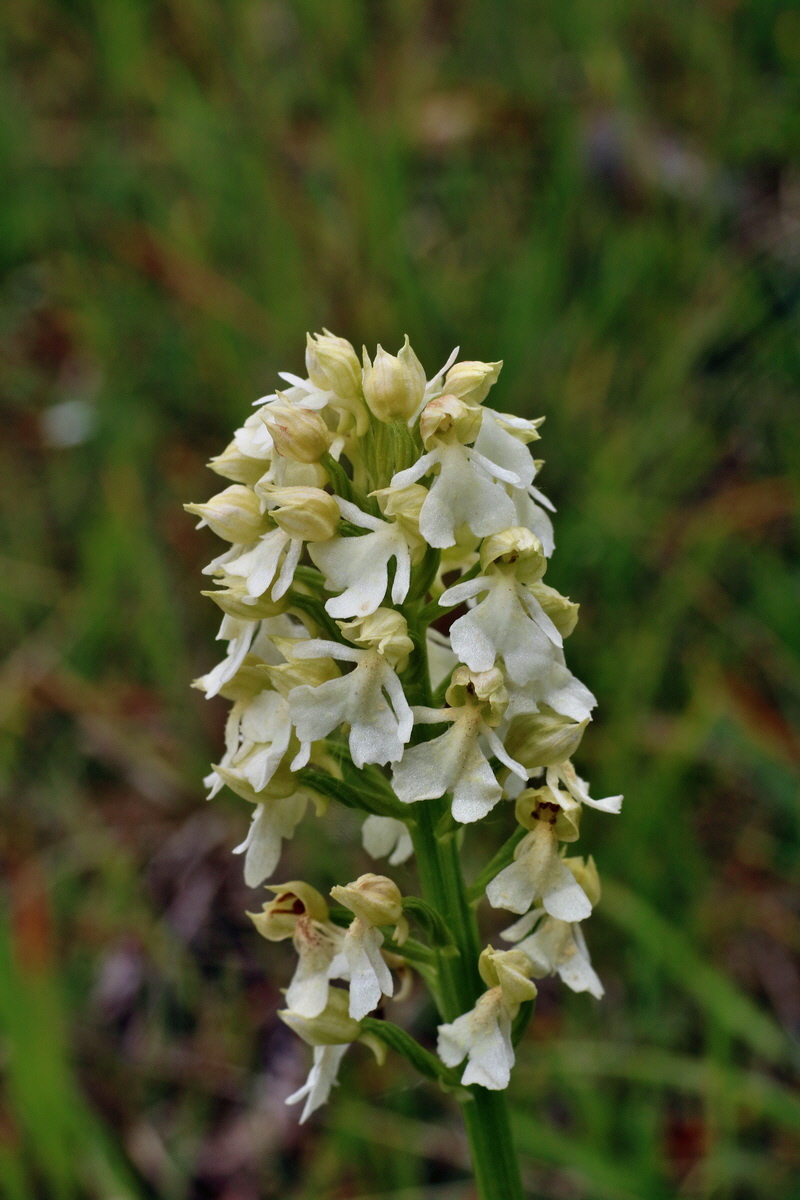 IMG-2016-05-25-00016686p_Bildgr��e �ndern