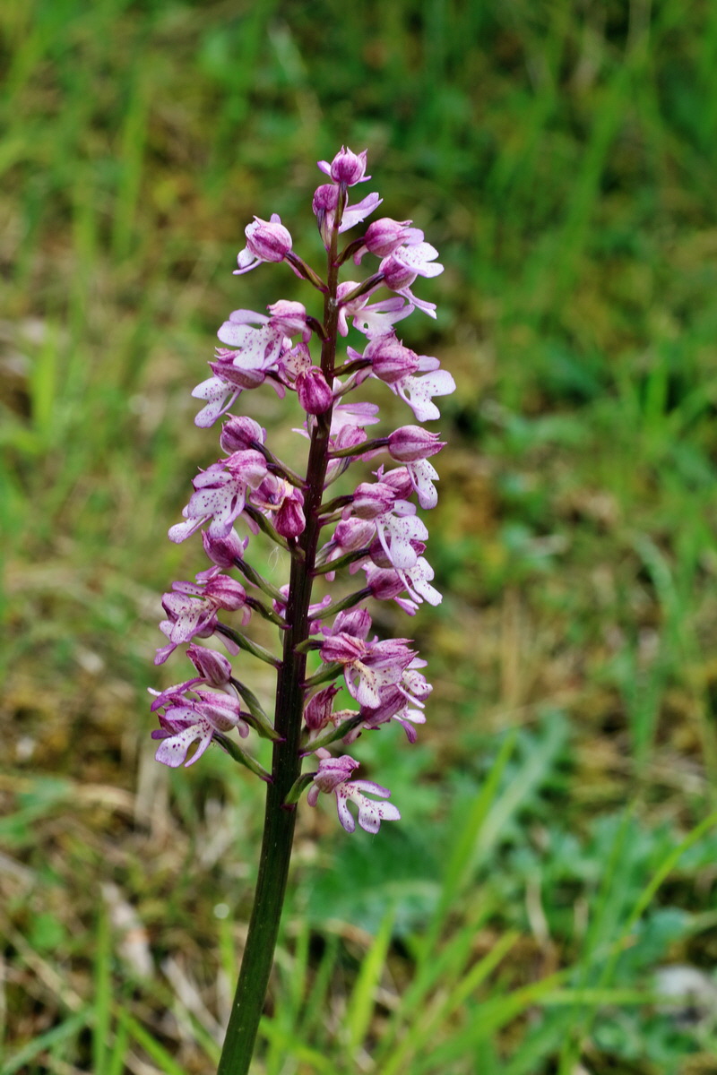 IMG-2016-05-25-00016709p_Bildgr��e �ndern