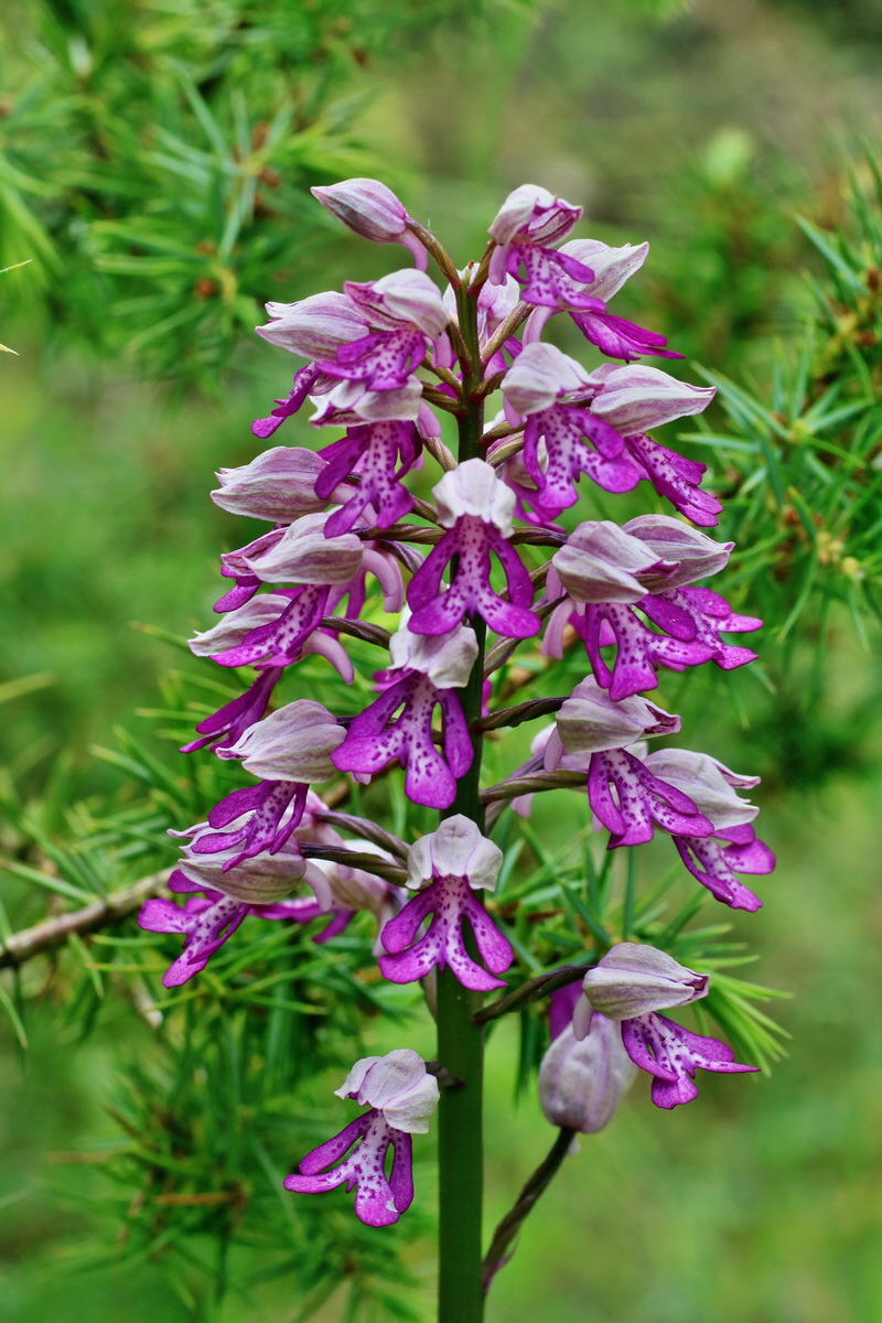 IMG-2016-05-25-00016710p_Bildgr��e �ndern