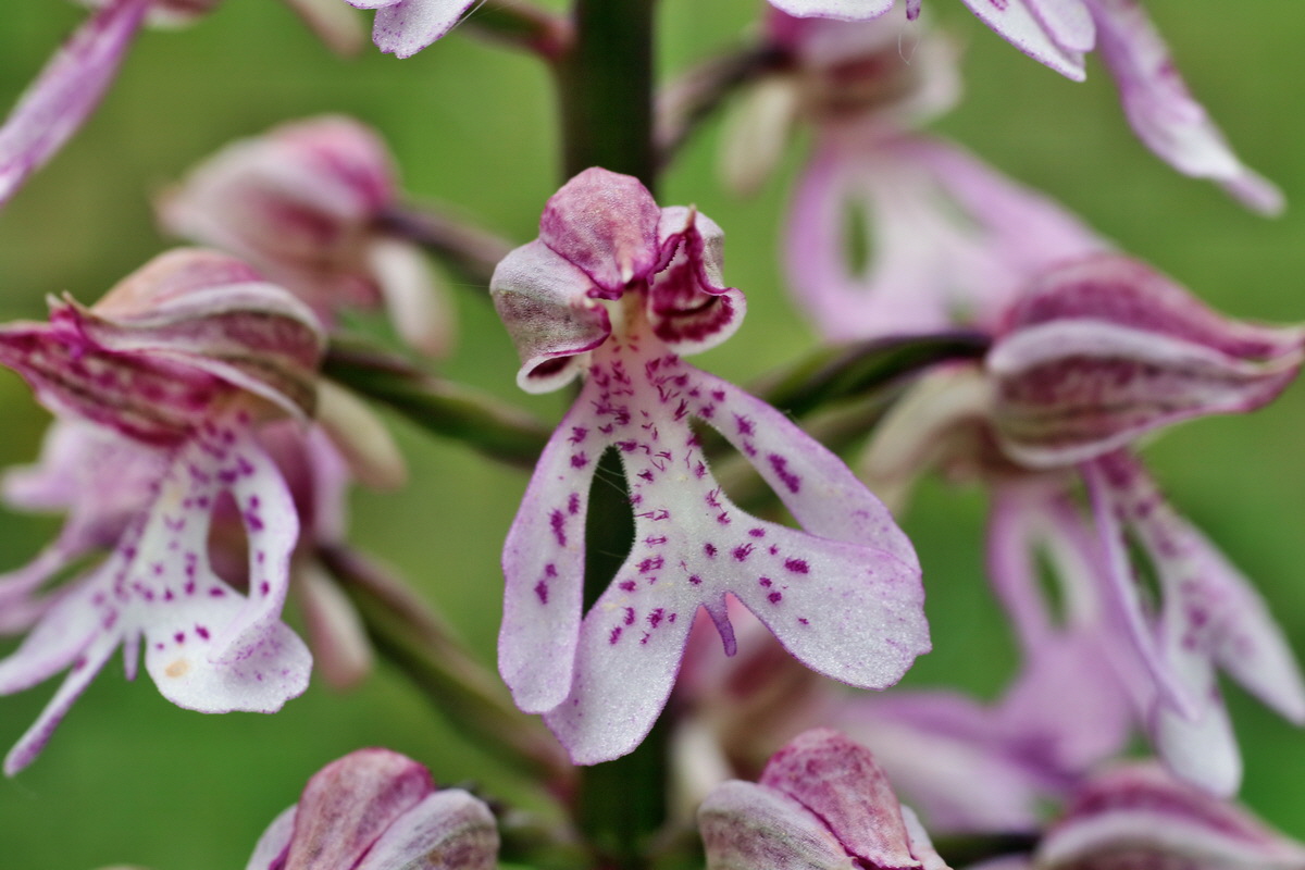 IMG-2016-05-25-00016747p_Bildgr��e �ndern