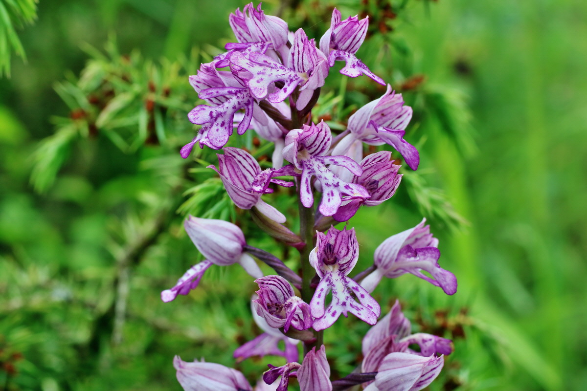 IMG-2016-05-25-00016759p_Bildgr��e �ndern