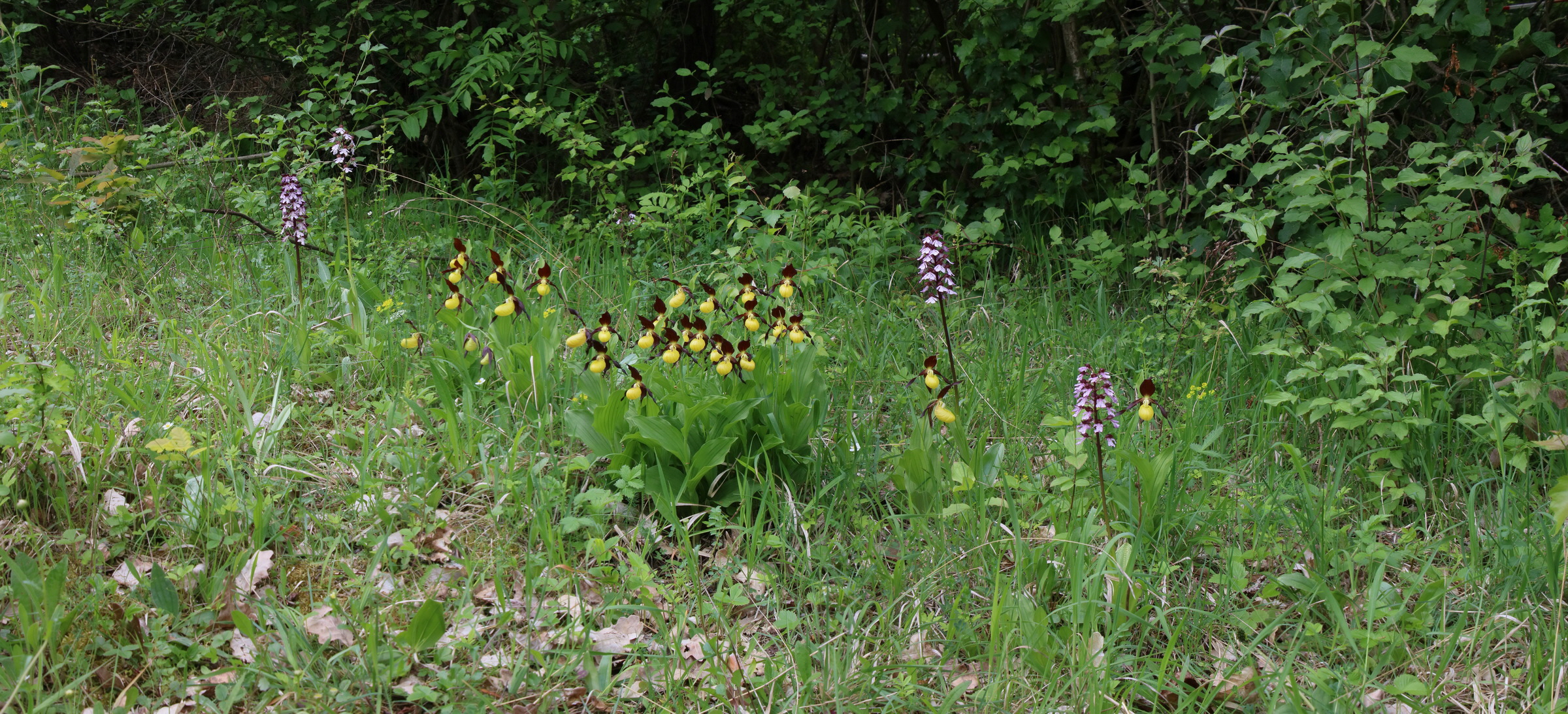 [Group 10]-IMG-2016-05-26-00017094_IMG-2016-05-26-00017099-6 images_Bildgr��e �ndern