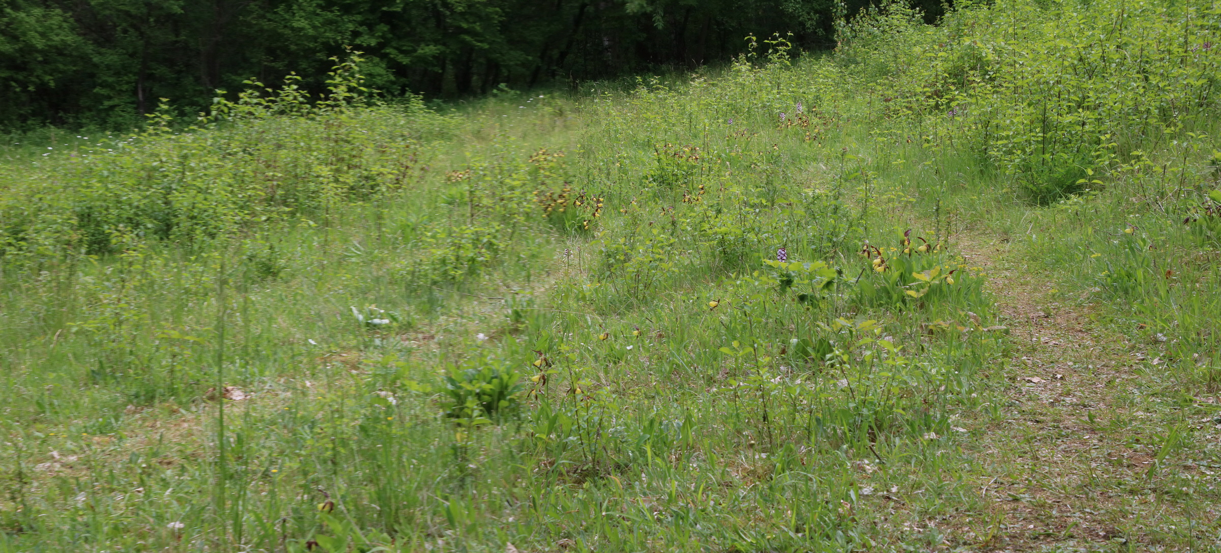 [Group 14]-IMG-2016-05-26-00017056_IMG-2016-05-26-00017064-2 images_Bildgr��e �ndern