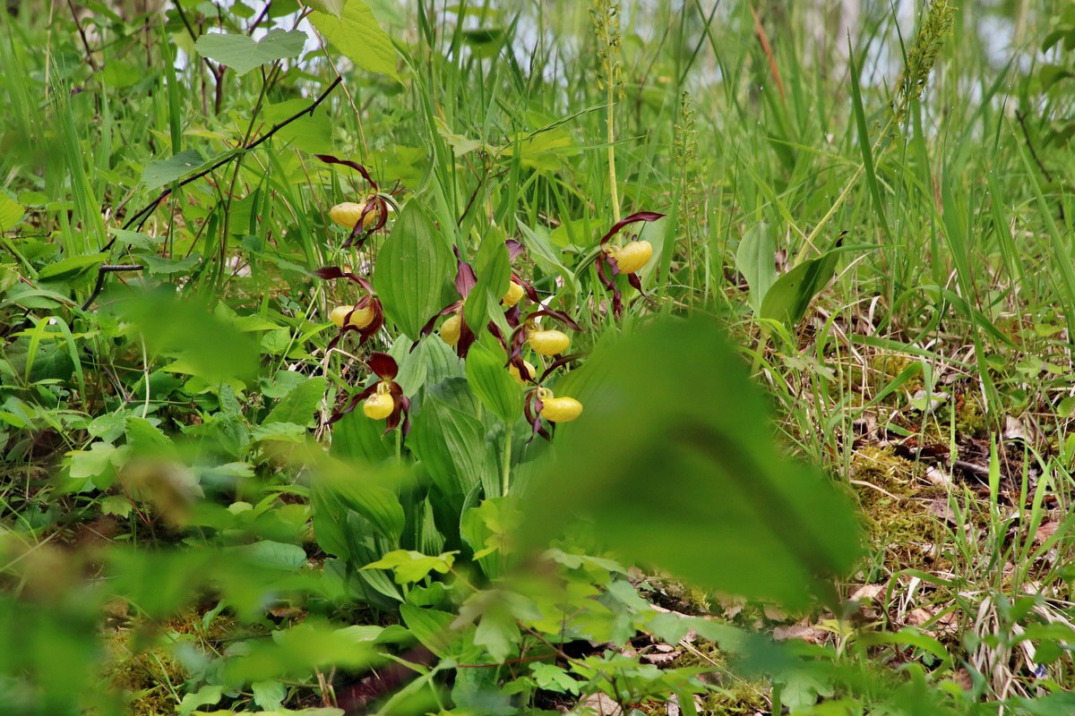 IMG-2016-05-26-00016929p_Bildgr��e �ndern