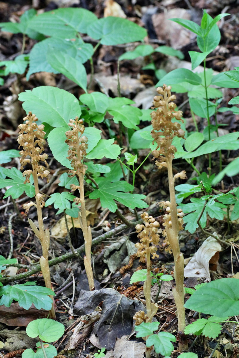 IMG-2016-05-26-00016943p_Bildgr��e �ndern