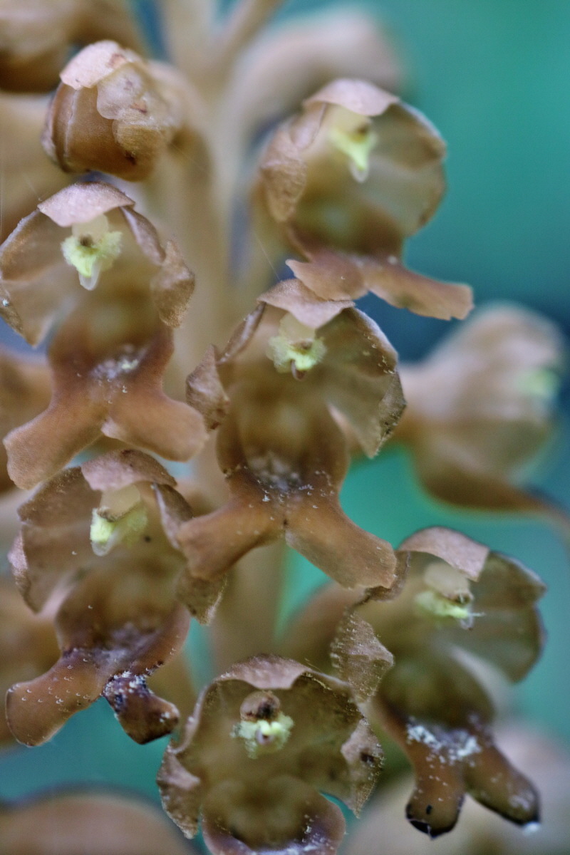 IMG-2016-05-26-00016951p_Bildgr��e �ndern