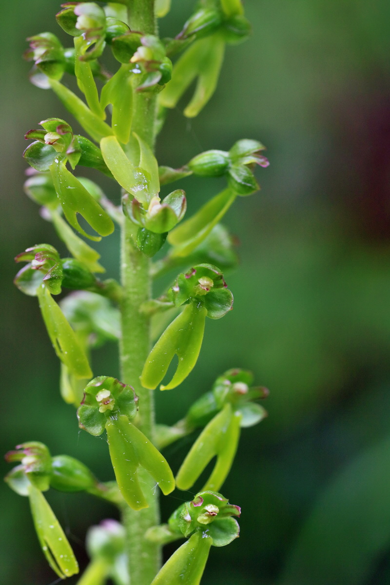 IMG-2016-05-26-00016956p_Bildgr��e �ndern