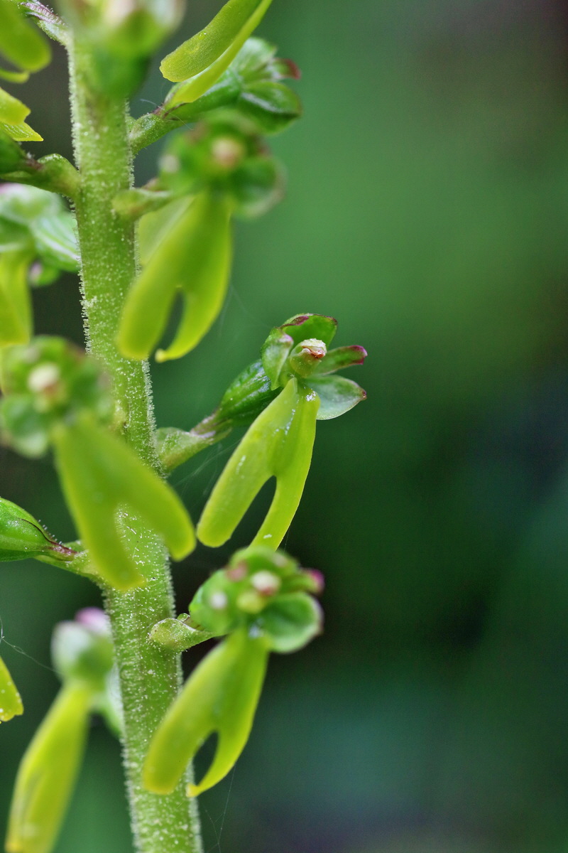 IMG-2016-05-26-00016958p_Bildgr��e �ndern