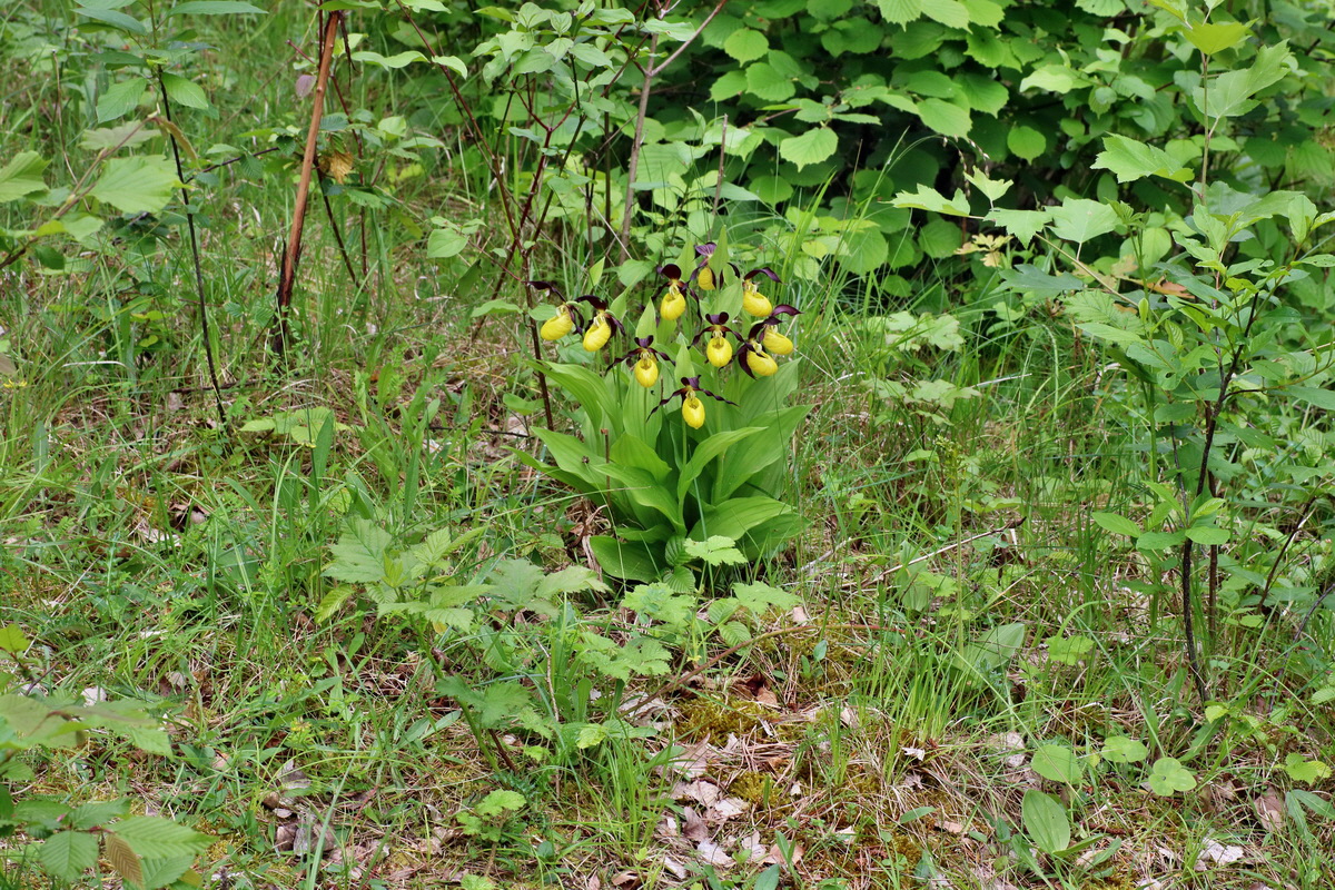 IMG-2016-05-26-00016968p_Bildgr��e �ndern