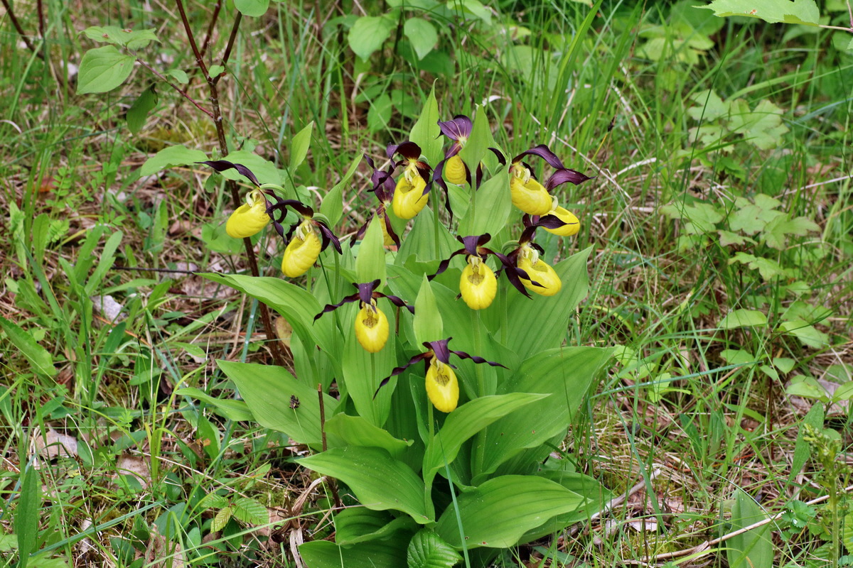 IMG-2016-05-26-00016972p_Bildgr��e �ndern