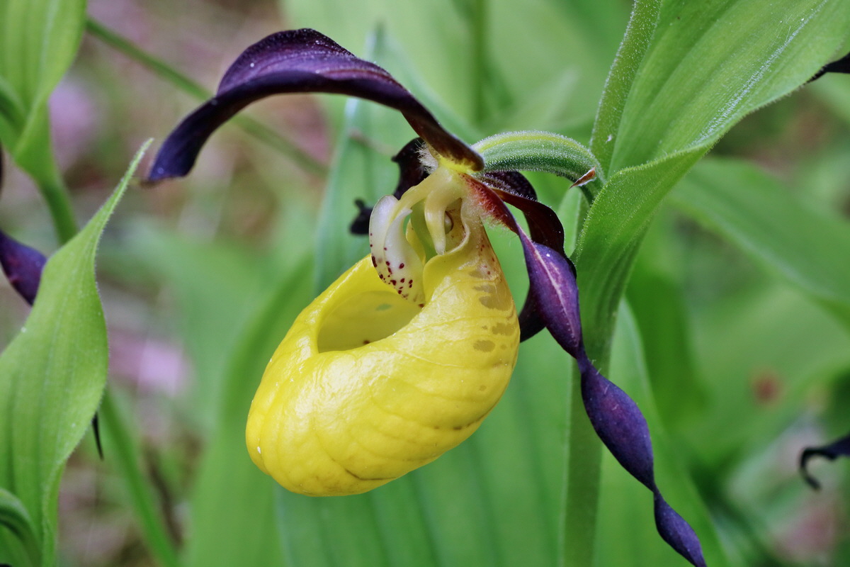 IMG-2016-05-26-00016978p_Bildgr��e �ndern